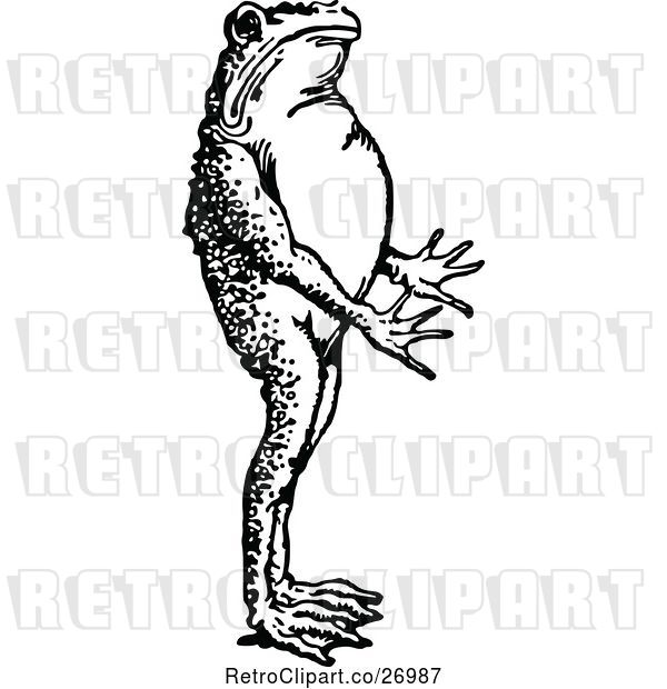 Vector Clip Art of Bullfrog Standing