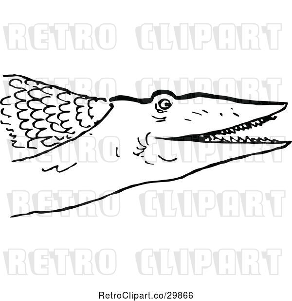 Vector Clip Art of Carnivorous Fish