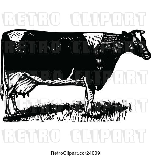 Vector Clip Art of Cow