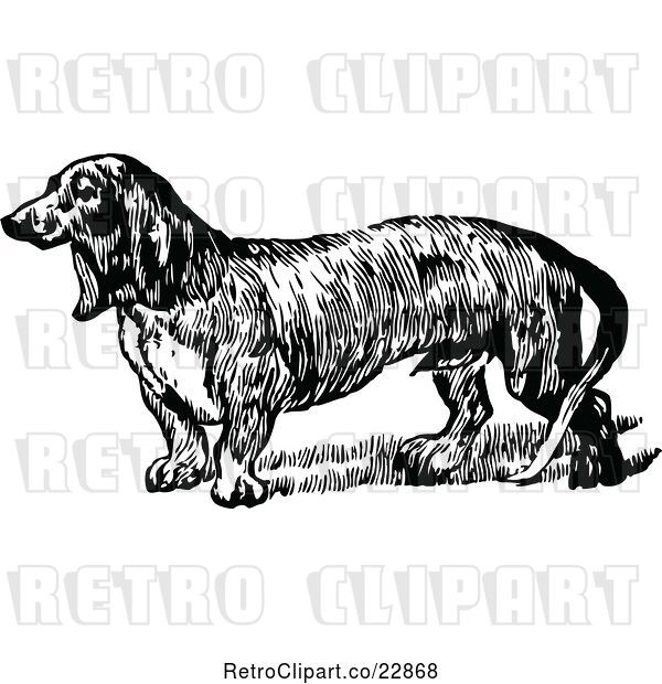 Vector Clip Art of Daschund Dog