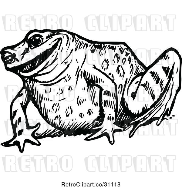 Vector Clip Art of Happy Frog