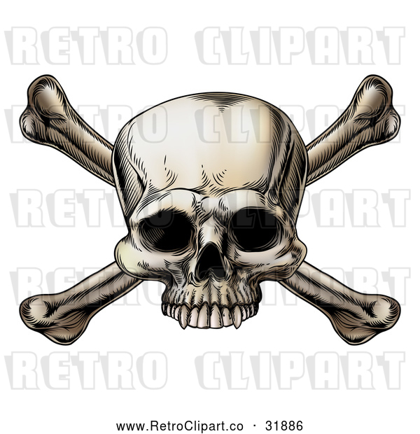 Vector Clip Art of Intimidating Retro Human Skull and Crossbones