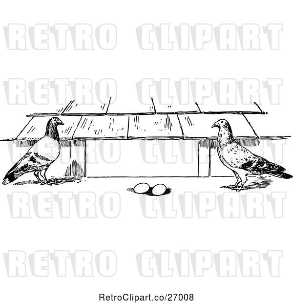 Vector Clip Art of Pigeons and Eggs