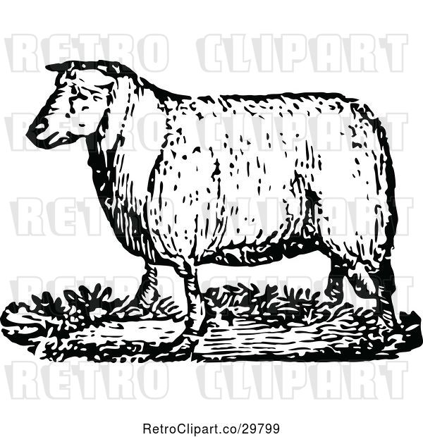 Vector Clip Art of Retro Adult Sheep