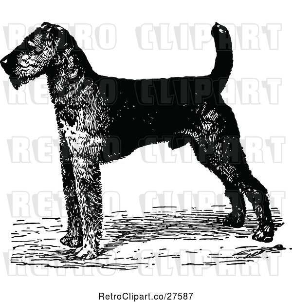 Vector Clip Art of Retro Airedale Terrier Dog