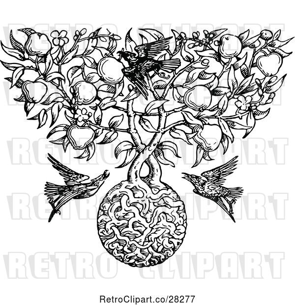 Vector Clip Art of Retro Apple Tree with Roots and Birds