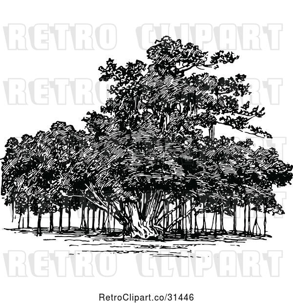 Vector Clip Art of Retro Banyan Tree