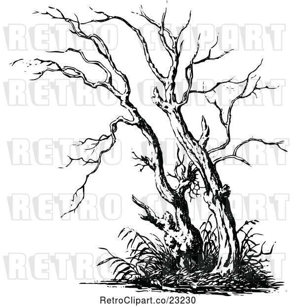Vector Clip Art of Retro Bare Tree 2