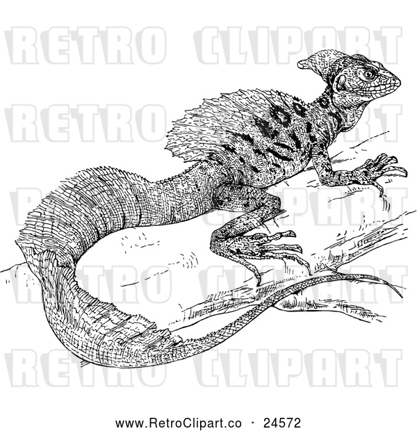 Vector Clip Art of Retro Basiliscus Americanus Iguana