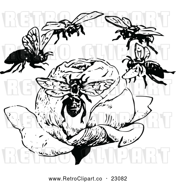Vector Clip Art of Retro Bees Flying Around a Rose