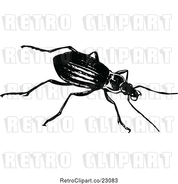 Vector Clip Art of Retro Beetle