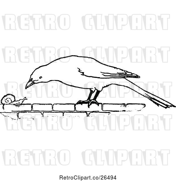 Vector Clip Art of Retro Bird and Snail
