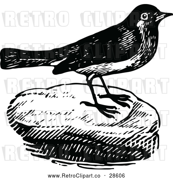 Vector Clip Art of Retro Bird on a Rock