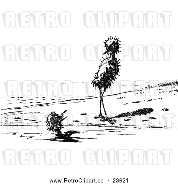 Vector Clip Art of Retro Birds on a Beach