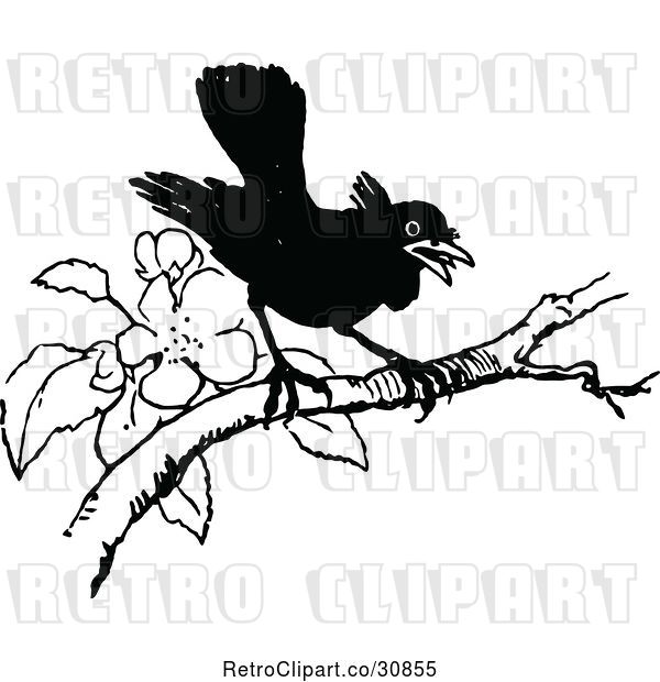 Vector Clip Art of Retro Black Bird Perched on a Blossoming Branch
