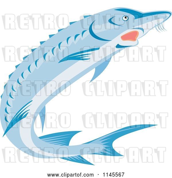 Vector Clip Art of Retro Blue Sturgeon Fish