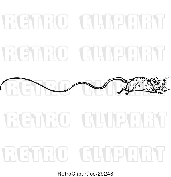 Vector Clip Art of Retro Border of a Long Tailed Rat