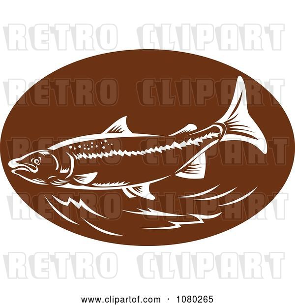 Vector Clip Art of Retro Brown and White Trout