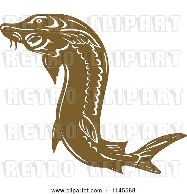 Vector Clip Art of Retro Brown Sturgeon Fish