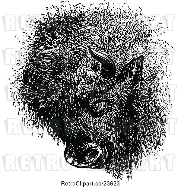 Vector Clip Art of Retro Buffalo Head