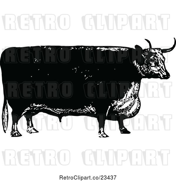 Vector Clip Art of Retro Bull 3