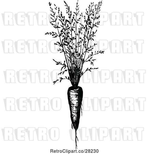 Vector Clip Art of Retro Carrot Plant
