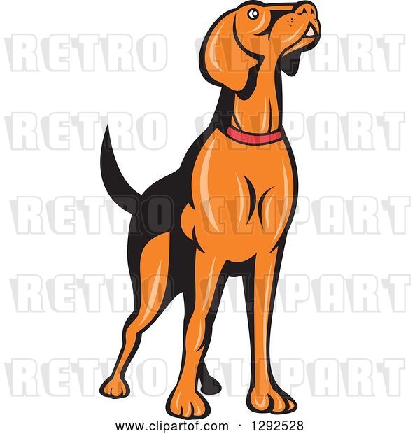 Vector Clip Art of Retro Cartoon Golden Retriever Dog Sniffing the Air