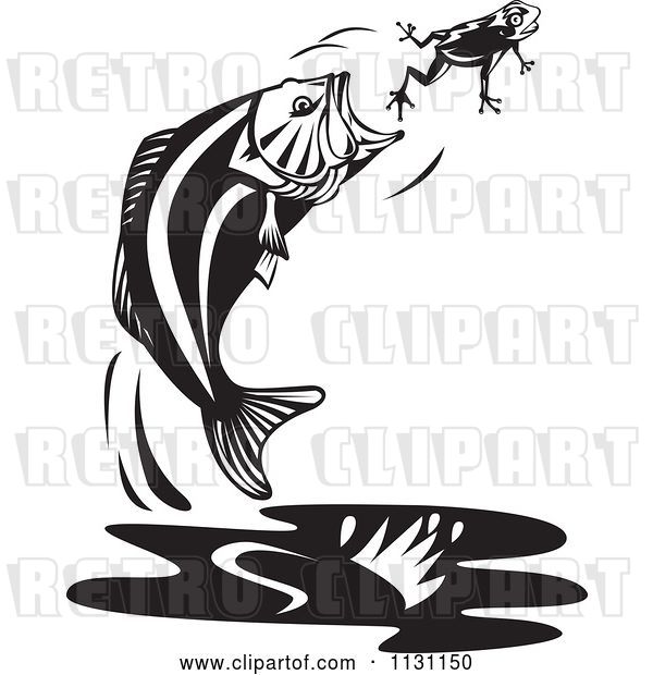 Vector Clip Art of Retro Cartoon Jumping Largemouth Bass Fish Trying to Eat a Frog