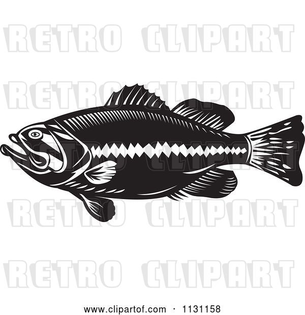 Vector Clip Art of Retro Cartoon Largemouth Bass Fish in Profile