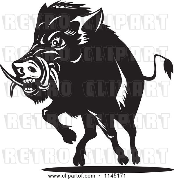 Vector Clip Art of Retro Charging Wild Boar Pig