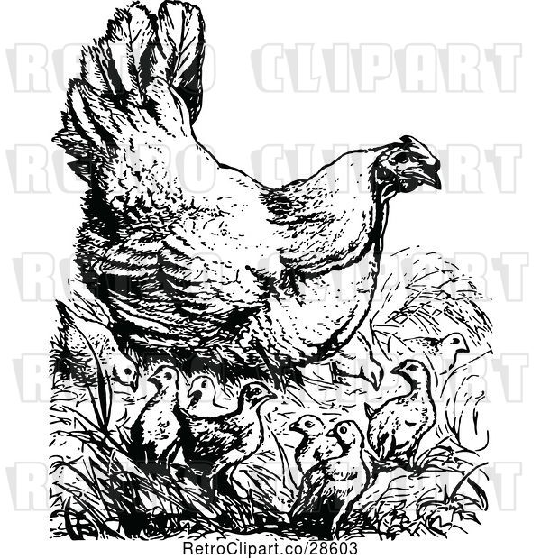 Vector Clip Art of Retro Chicken with Chicks