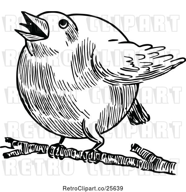 Vector Clip Art of Retro Chubby Robin Bird