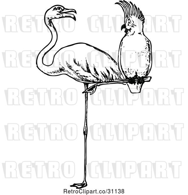 Vector Clip Art of Retro Cockatoo Perched on a Flamingos Leg