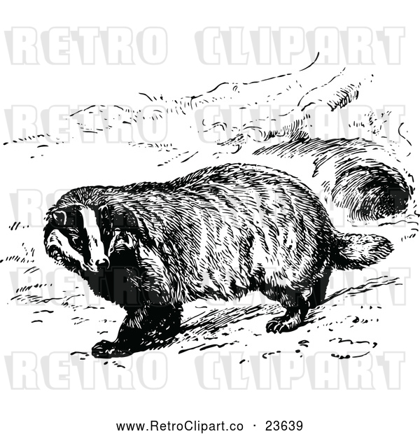 Vector Clip Art of Retro Common Badger