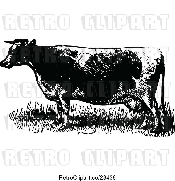 Vector Clip Art of Retro Cow 1
