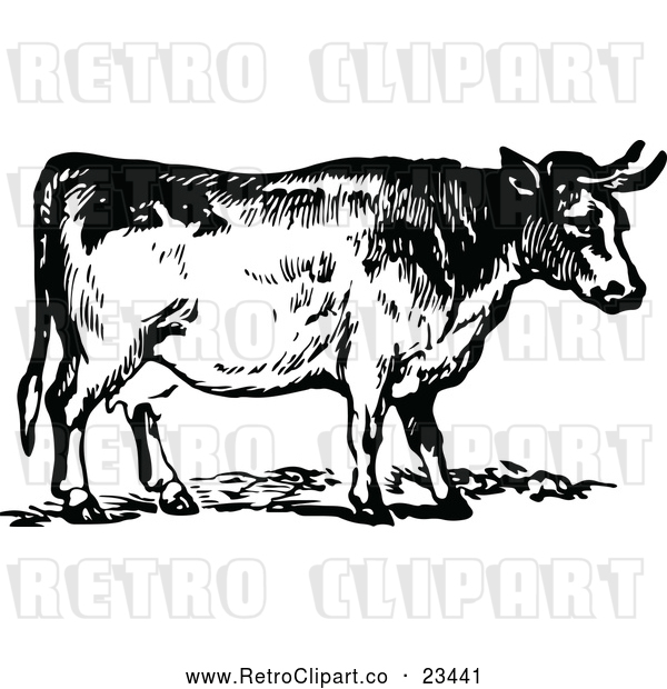 Vector Clip Art of Retro Cow 2