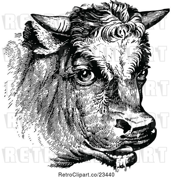 Vector Clip Art of Retro Cow Portrait 1