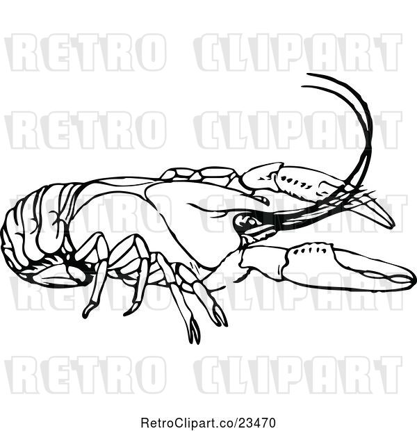 Vector Clip Art of Retro Crayfish