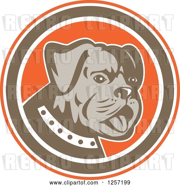 Vector Clip Art of Retro Cute Bulldog in an Orange Brown and White Circle