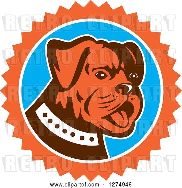 Vector Clip Art of Retro Cute Bulldog in an Orange White and Blue Burst