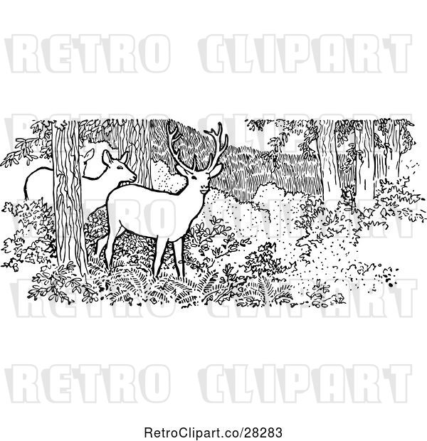 Vector Clip Art of Retro Deer in the Woods