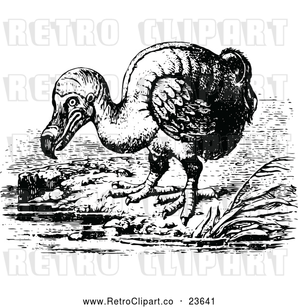 Vector Clip Art of Retro Dodo Bird