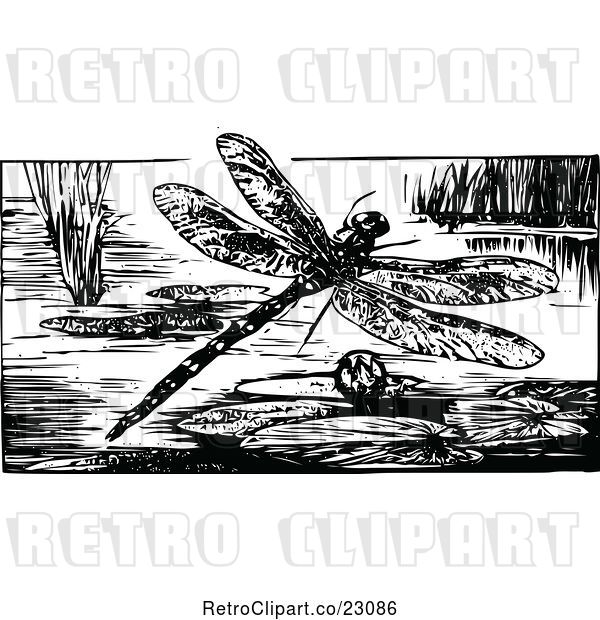 Vector Clip Art of Retro Dragonfly over a Pond