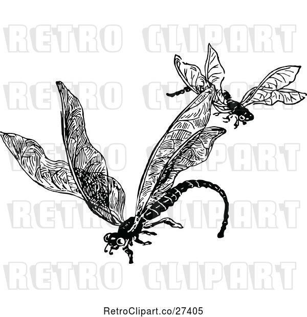 Vector Clip Art of Retro Dragonfly Pair