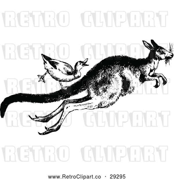 Vector Clip Art of Retro Duck Riding a Kangaroo