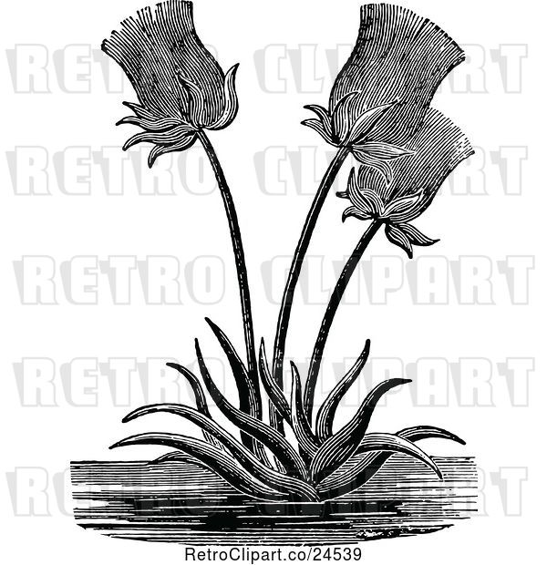 Vector Clip Art of Retro Egyptian Paper Reed Plant