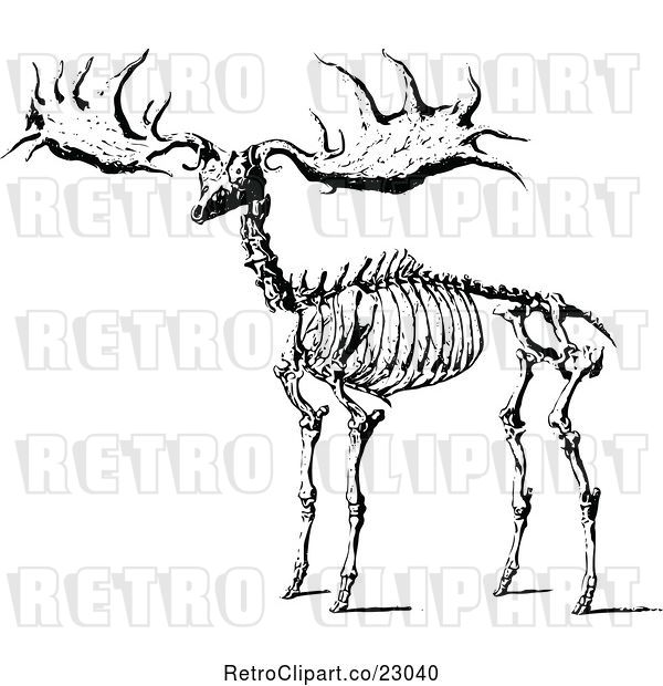 Vector Clip Art of Retro Elk Skeleton