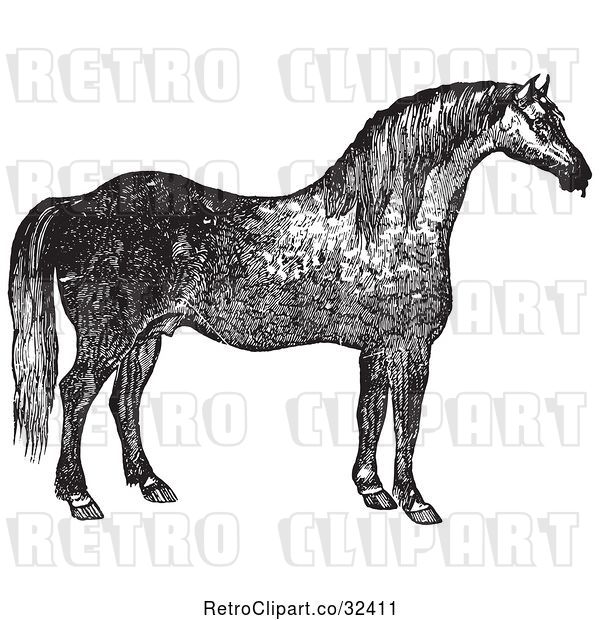 Vector Clip Art of Retro Engraved Horse in