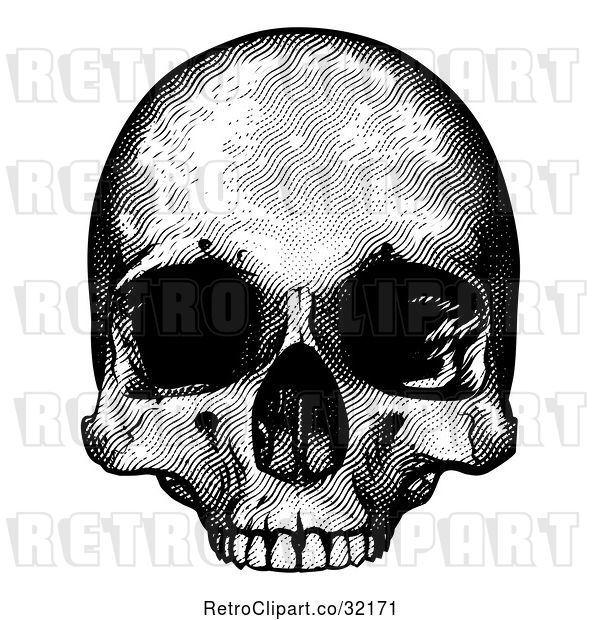 Vector Clip Art of Retro Engraved Human Skull