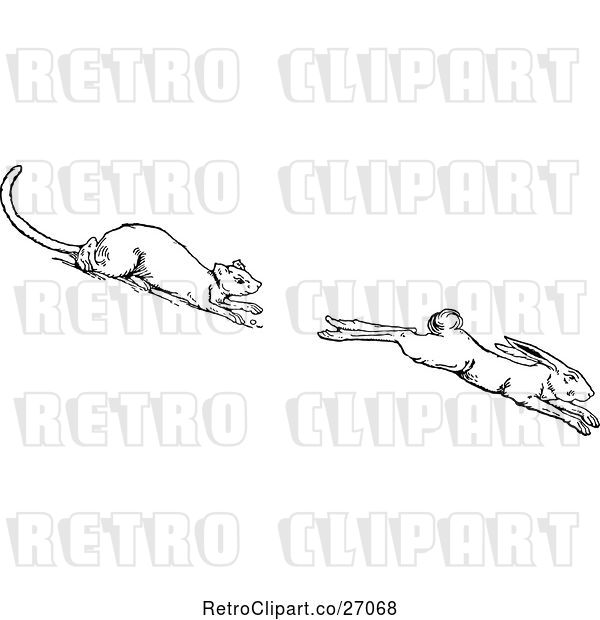 Vector Clip Art of Retro Ermine Weasel Chasing a Rabbit